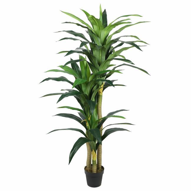 Umělý strom Dracena 180 cm