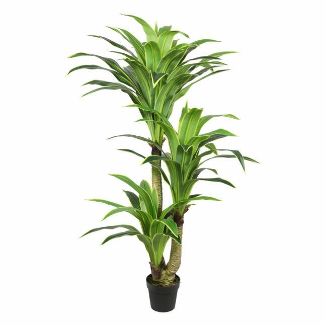Umělý strom Dracena 160 cm