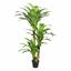 Umělý strom Dracena 160 cm