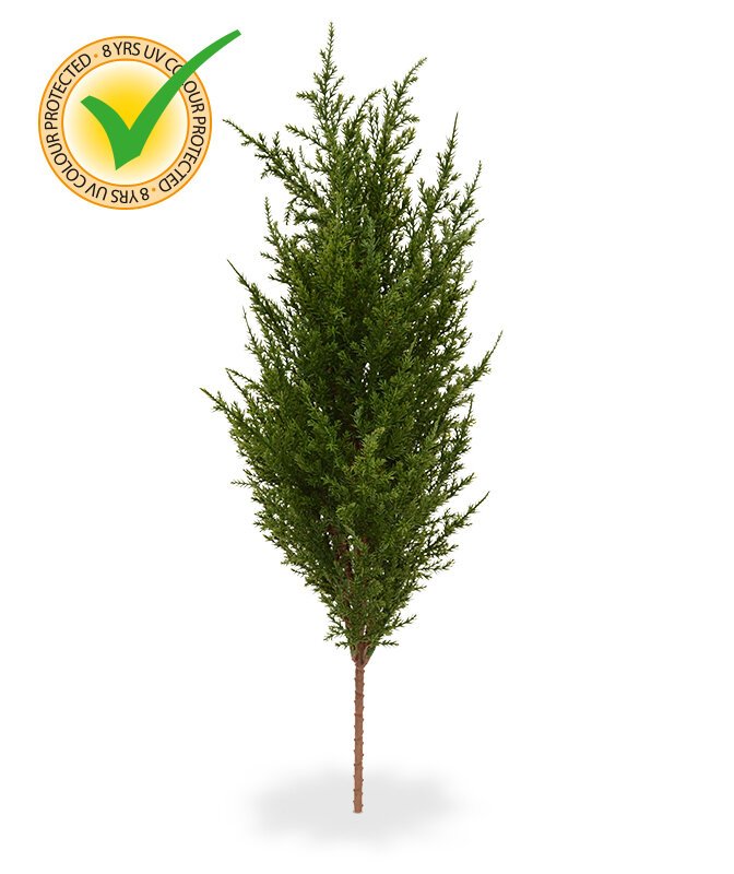 Vysoce kvalitní buket Cypress 56 cm