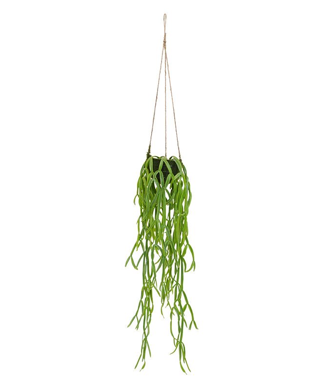 Umělá rostlina Rhipsalis paradox 90 x 20 cm v košíku