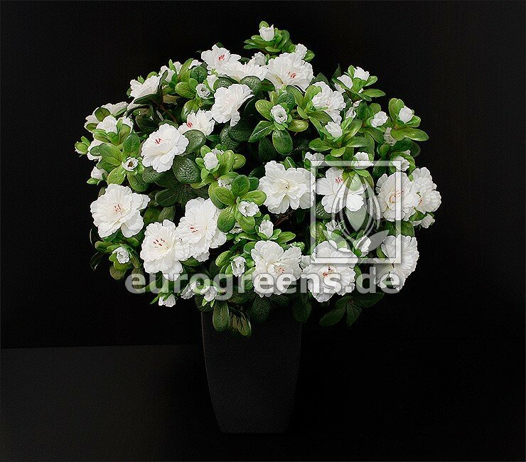 Umělá Belgická Azalka bílá - 40 cm
