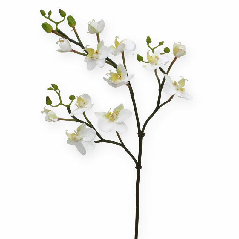 Umělá větev Mini Phalaenopsis bílá 60 cm