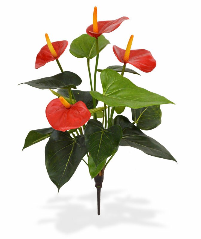 Umělá rostlina Anthurium 40 cm - červená