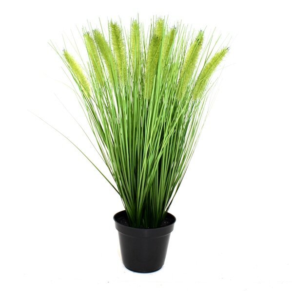 Umělá tráva Pennisetum v květináči - 50 cm