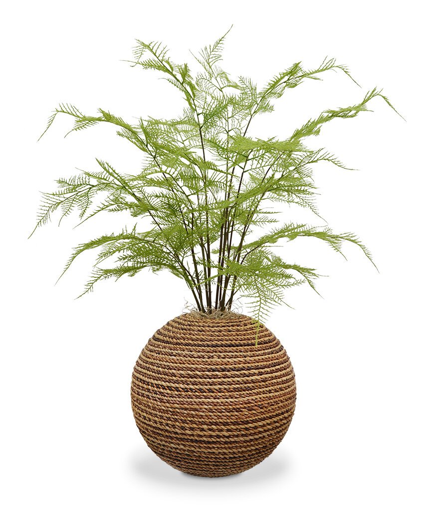 Umělá rostlina Asparagus 9 umělých chřestu větví v dekorativní nádobě