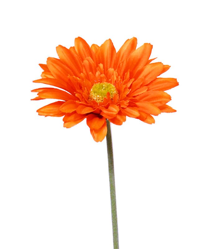 Umělý květ stonky Gerbera 60 cm - oranžový