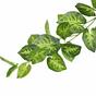 Umělá girlanda Taro Araceae zelená 190 cm