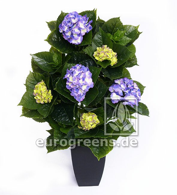 Umělá kvetoucí Hortenzie Deluxe, modro-zelená 80cm