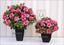 Umělá kytice Belgická Azalka růžová 40 cm