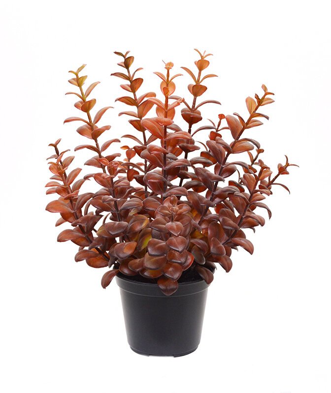 Umělá rostlina Eukalyptu 30 cm vínová barva