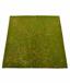 Umělá mechová rohožka 100 x 100 cm - zelená