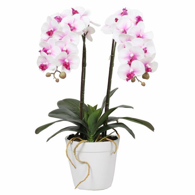 Umělá Orchidea 43 cm