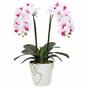 Umělá Orchidea 43 cm