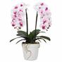 Umělá Orchidea 43 cm