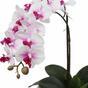 Umělá Orchidea 43 cm