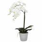 Umělá Orchidea bílá 65 cm