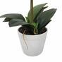 Umělá Orchidea bílá 65 cm