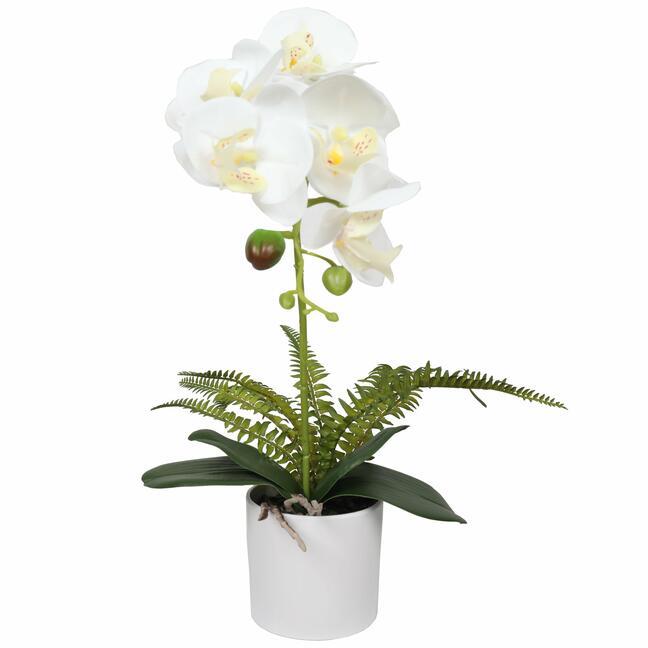 Umělá Orchidea bílá s kapradin 37 cm