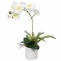 Umělá Orchidea bílá s kapradin 37 cm