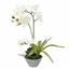 Umělá Orchidea bílá s kapradin 43 cm