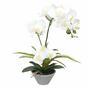 Umělá Orchidea bílá s kapradin 43 cm