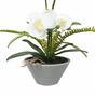 Umělá Orchidea bílá s kapradin 43 cm