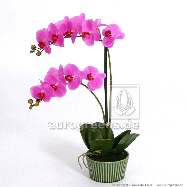 Umělá Orchidej růžová v keramickém květináči 65 cm
