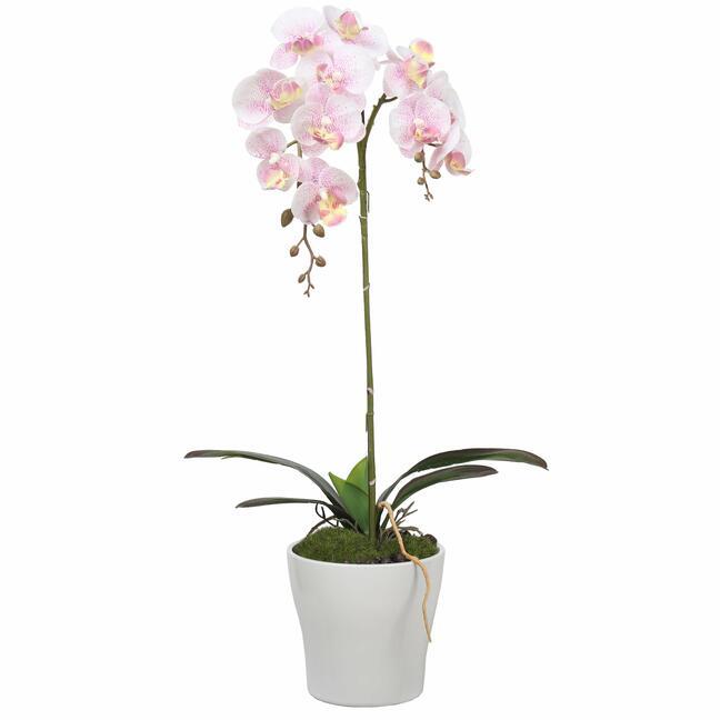Umělá Orchidej růžová 53 cm