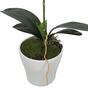 Umělá Orchidej růžová 53 cm