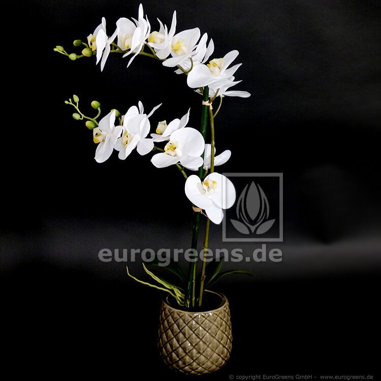 Umělá Orchidea bílá v keramickém květináči 65 cm