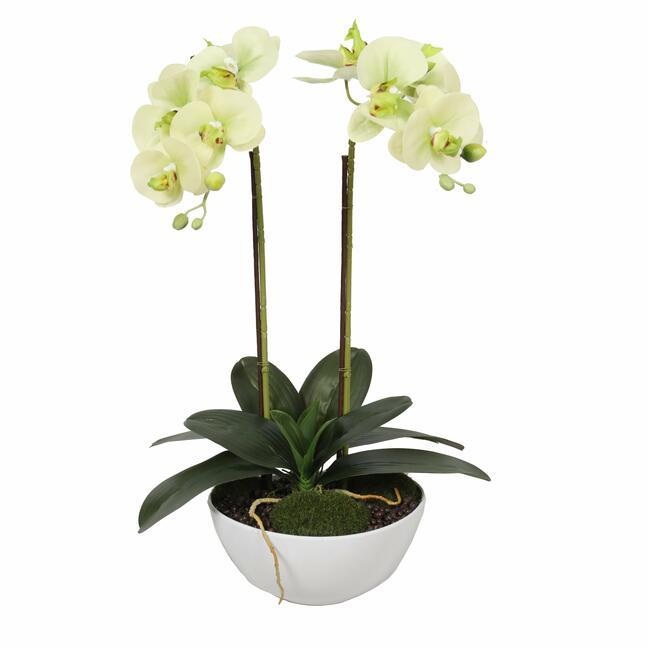 Umělá orchidej světlozelená 50 cm