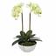 Umělá orchidej světlozelená 50 cm