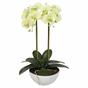 Umělá orchidej světlozelená 50 cm
