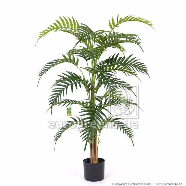 Umělá palma Areca Royal 120 cm