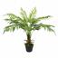 Umělá palma Cyathea 90 cm