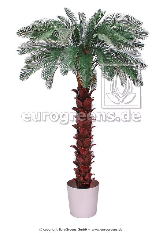 Umělá palma Cycas odolná vůči povětrnostním vlivům 300 cm a 48 výhonků
