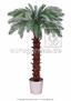 Umělá palma Cycas 300 cm