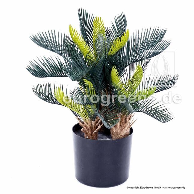 Umělá palma Cycas 50 cm