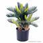 Umělá palma Cycas 50 cm