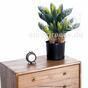 Umělá palma Cycas 50 cm