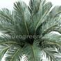 Umělá palma Cycas 90 cm
