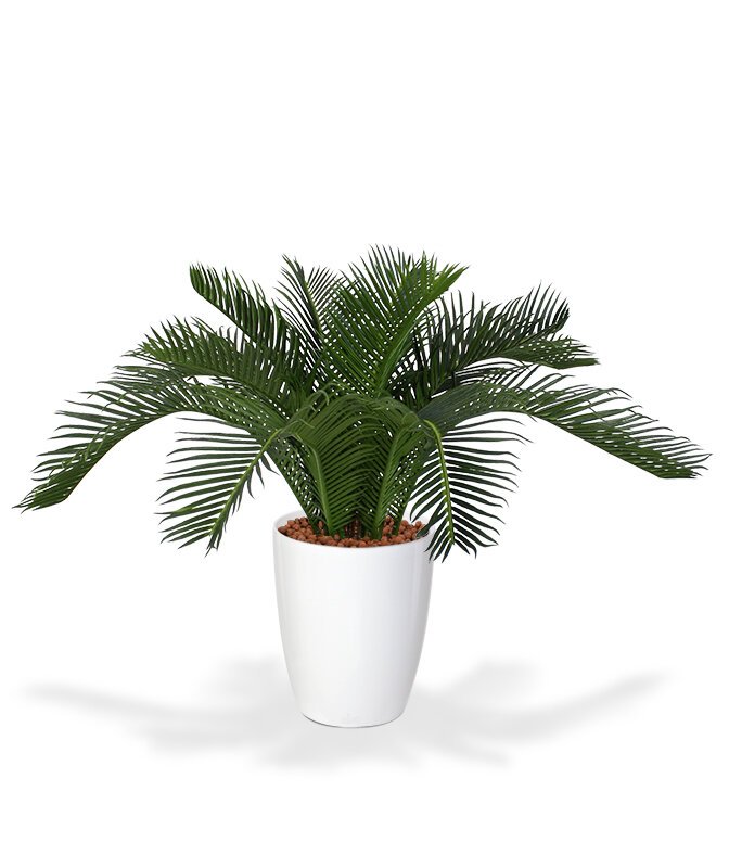 Umělá palma Baby Cycas 50 cm