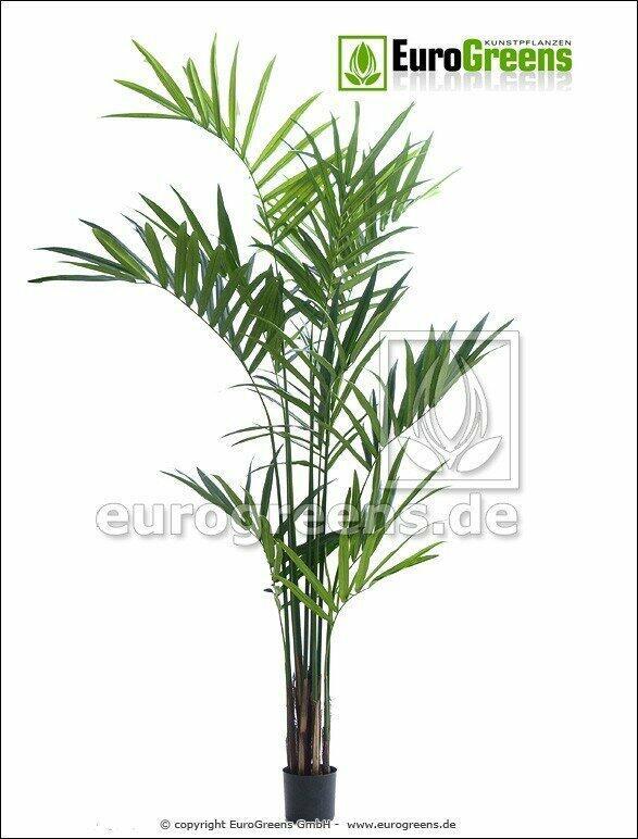 Umělá palma Kentia 240 cm