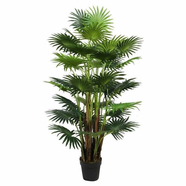 Umělá palma Livistona mini 160 cm