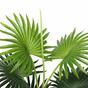 Umělá palma mini Livistona 65 cm