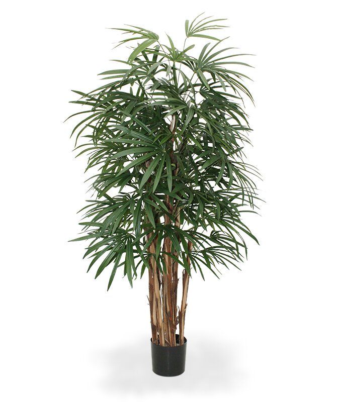 Umělá exotická Palma Deluxe 160 cm