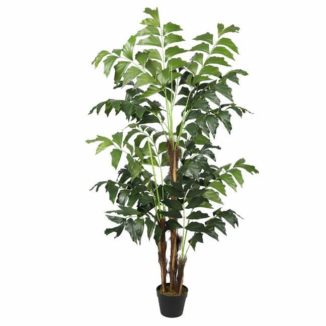 Umělá palma Rybí ocas 165 cm