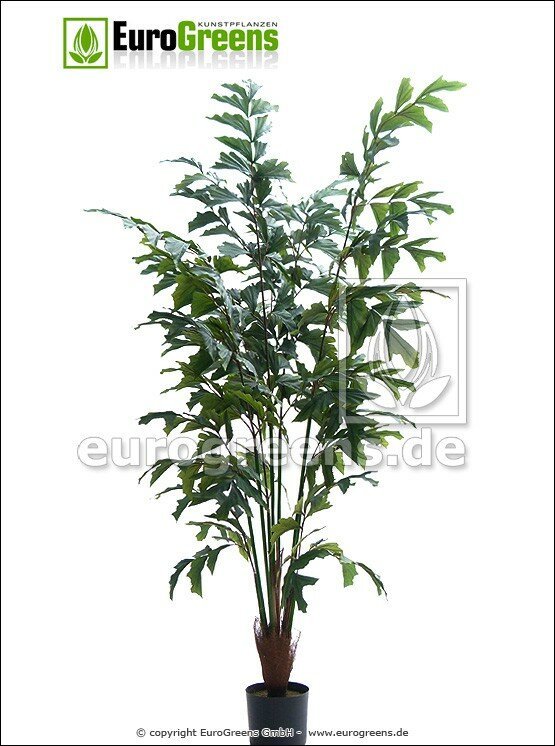 Umělá palma Rybí ocas 170 cm