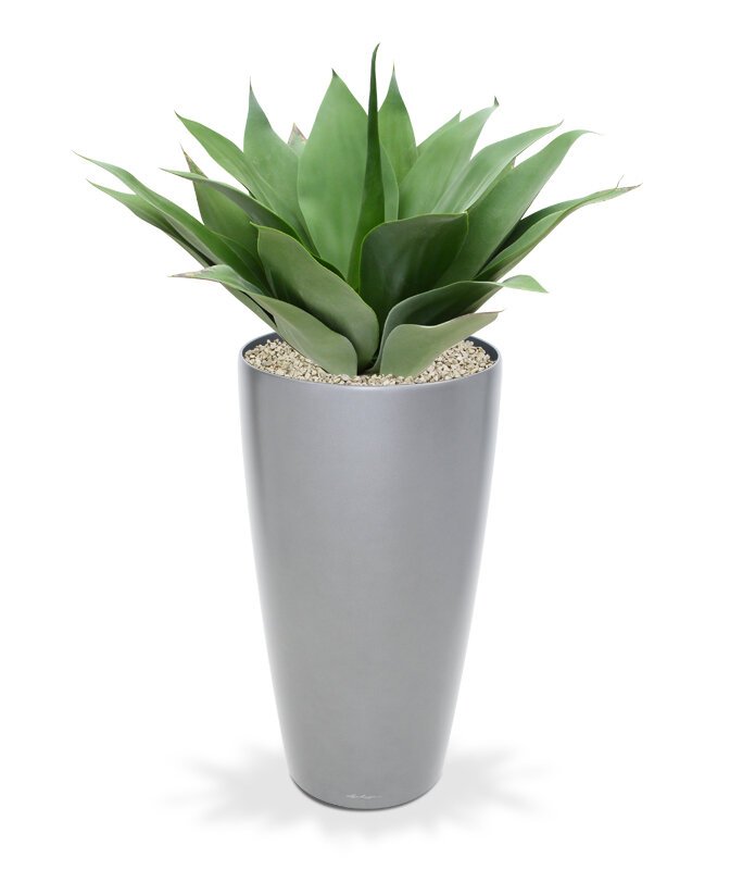 Umělá rostlina Agáve 50 cm